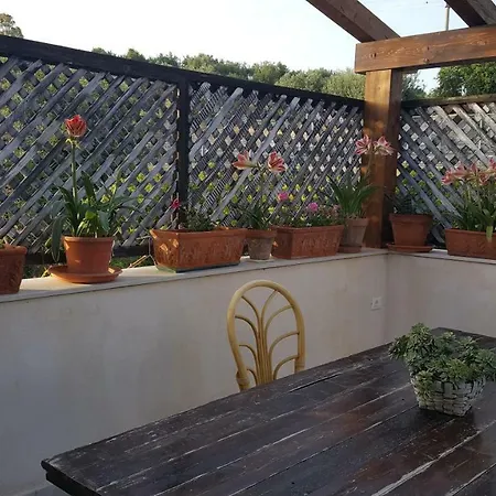 Bed and Breakfast Teodora House