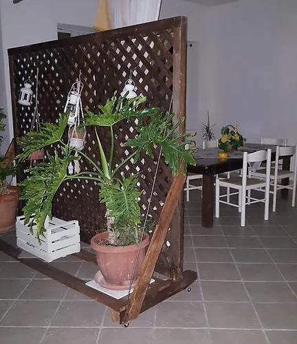 לינה וארוחת בוקר Teodora House