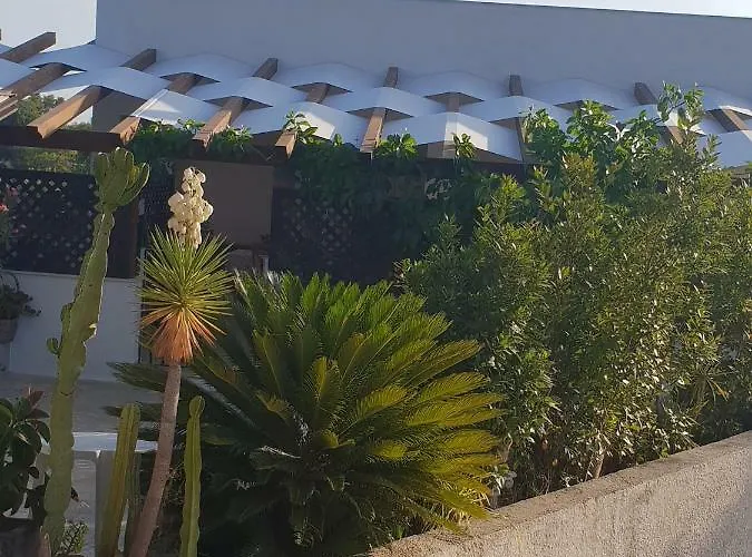 Teodora House לינה וארוחת בוקר נוטו