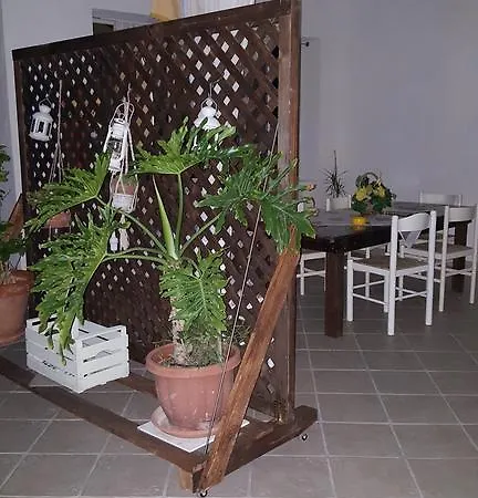 לינה וארוחת בוקר Teodora House