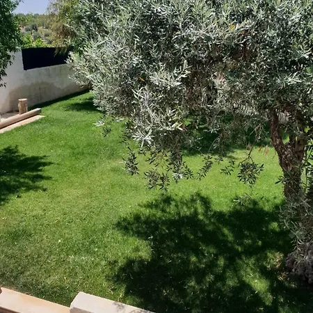 לינה וארוחת בוקר Teodora House